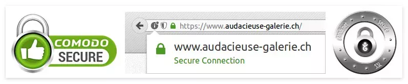 Audacious-Gallery Secure